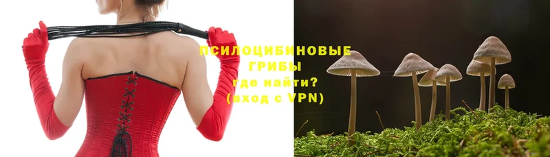 Псилоцибиновые грибы GOLDEN TEACHER  Новокубанск 